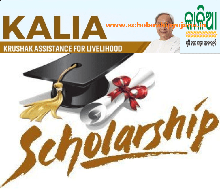 www.kalia.co.in/scholarship Login Kalia Chatra Bruti Yojana 2024